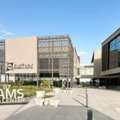 What Is The SHAMS Free Zone License Cost