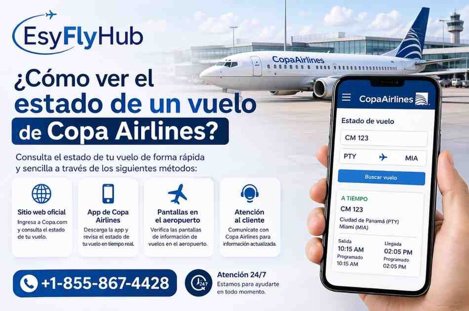 New York, Travel, ¿Dónde Consultar El Estado De Un Vuelo De Copa Airlines En Panamá?