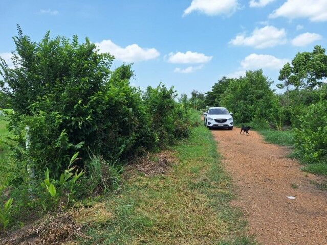 Bangkok, Real Estate For Sale, THB 1400000,  6 BR,  194 Sq. Feet,  Empty Land For Sale, 194 Sq M., Khlong 4, Khlong Luang, Pathum Thani Province.