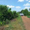 THB 1400000,  6 BR,  194 Sq. Feet,  Empty Land For Sale, 194 Sq M., Khlong 4, Khlong Luang, Pathum Thani Province.