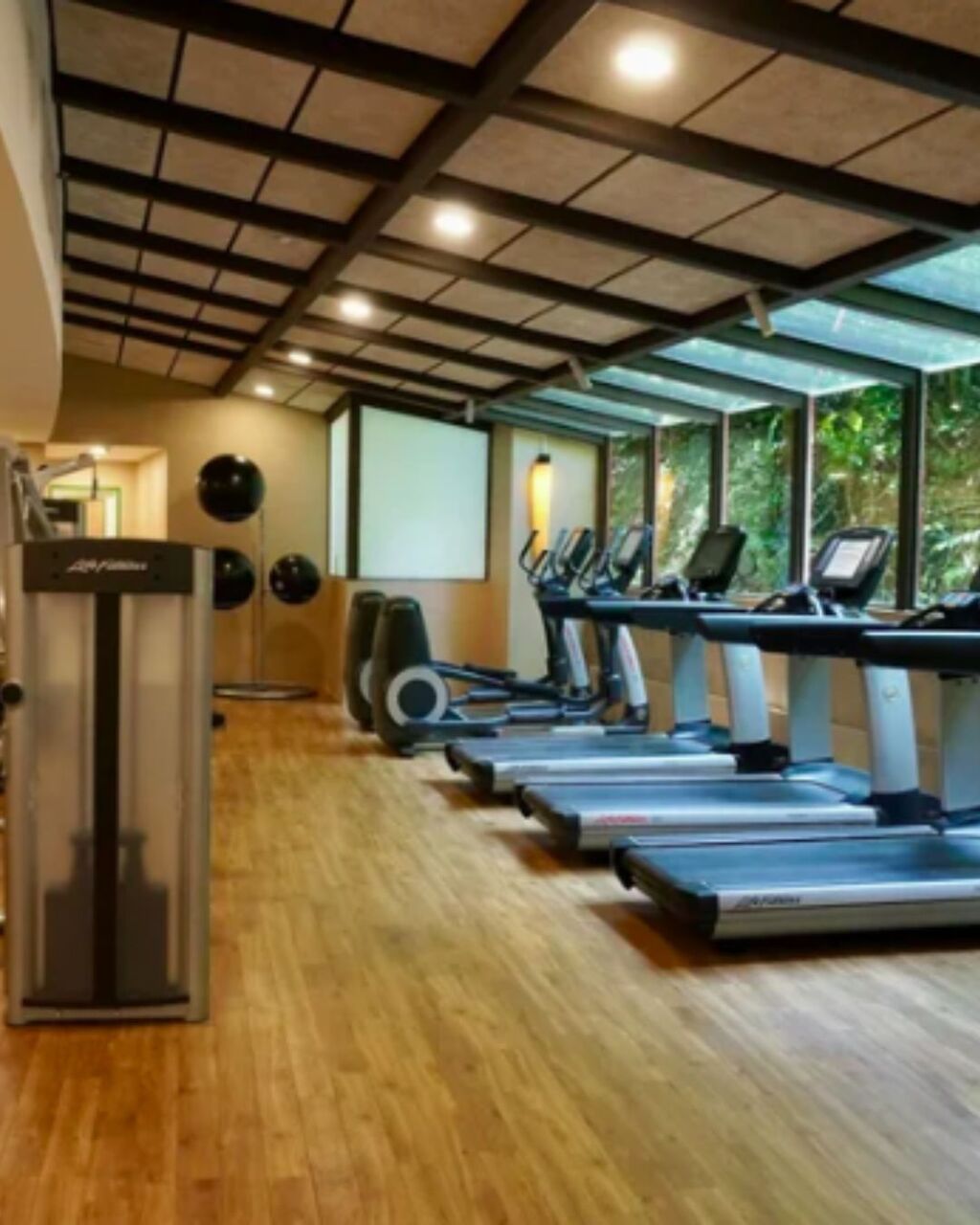 New York, Business, Online Fat Loss Coach