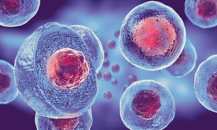 New Delhi, Health, Global Regenex | Advanced Regenerative Medicine In India