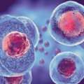 Global Regenex | Advanced Regenerative Medicine In India