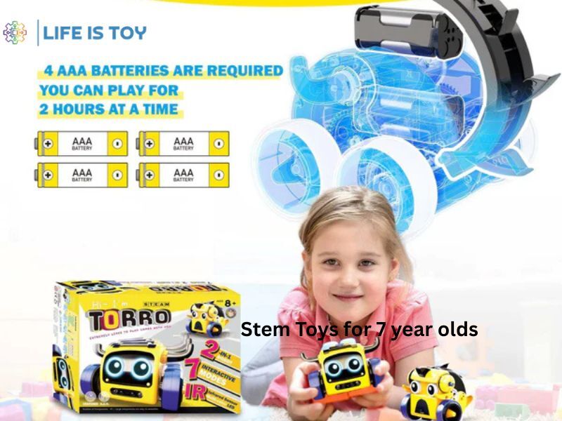 New York, Business, Buy Stem Toys For 7 Year Olds For Educational Fun