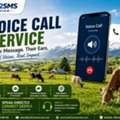 Strengthen Customer Communication With Advanced Voice Call Services