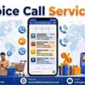Secure Your User Transactions With Instant Automated Bulk Voice Call Service