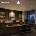 Commercial Occupancy Sensor & True Presence Systems | Trueisense