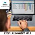 Professional Excel Assignment Help For Accurate & Timely Solutions