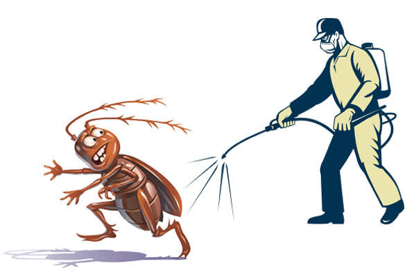 Abu Dhabi, Business, Affordable Pest Control Company In Abu Dhabi | Star Way Pest Control
