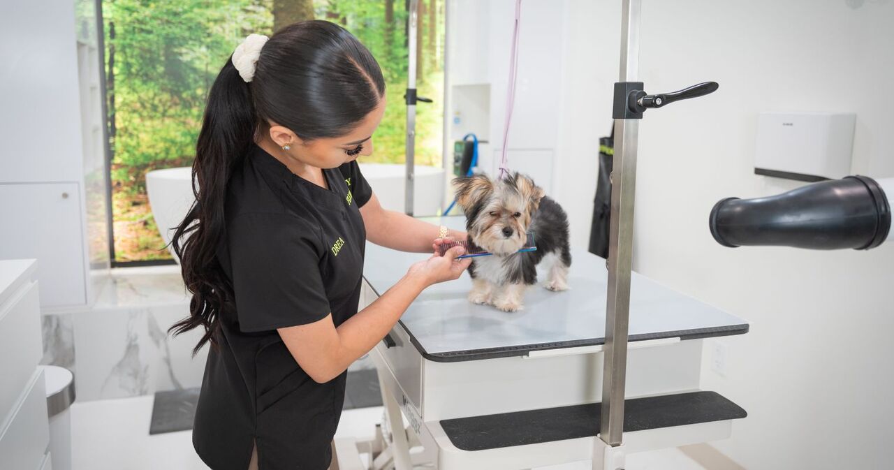 New York, Pet Supplies, USD 55,  Premium Grooming Packages For Dogs In USA &ndash; Complete Pet Care & Spa Services