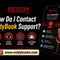 How Do I Contact ReddyBook Support?