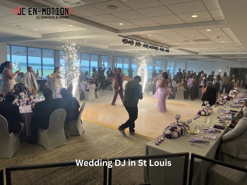 New York, Business, Affordable Wedding DJ In St Louis With Professional Service