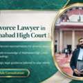 Why Consult A Divorce Lawyer In Allahabad High Court For Matrimonial Cases?