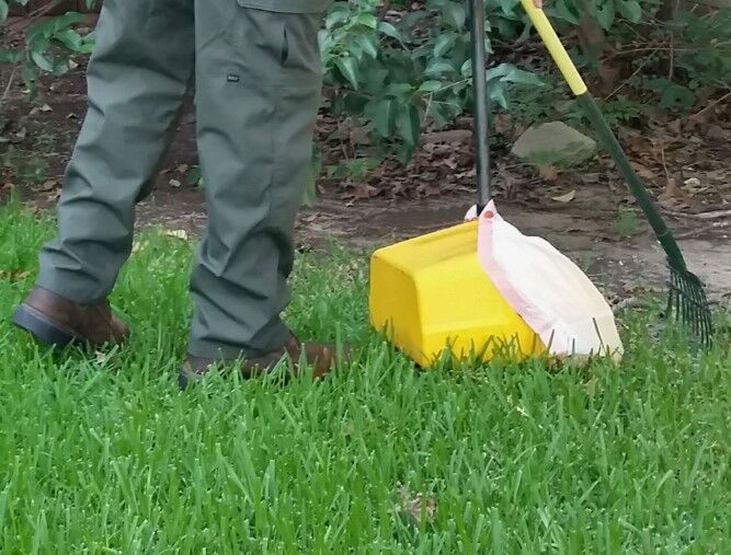 New York, Business, Pet Waste Cleanup Services