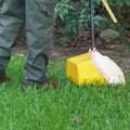 Pet Waste Cleanup Services