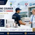 How Can B2B Buyers Courier Medicines From India To Canada? - Oddway