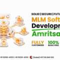 Transform Your Direct Selling Business With Expert MLM Solutions