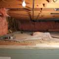 Need Foundation Repair In Central & Southern Virginia?