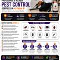 👑 RAWAD PEST CONTROL | Certified Pest Management Specialists