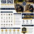 🚀 Say Goodbye To Pests With RAWAD Pest Control