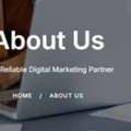 Bloom Agency &ndash; Your Trusted Digital Marketing & SEO Partner