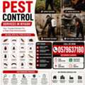🛡️🔥Professional Pest Control & Disinfection Specialist 🔥🛡️