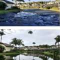 Best Product For Pond Algae Remover To Keep Water Clear