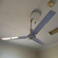 SAR 90,  Ceiling Fan 110v
