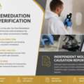 Post-remediation Mold Verification