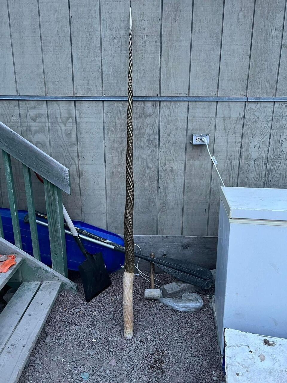 Toronto, Furniture, CAD 1700,  7ft Narwhal Tusk