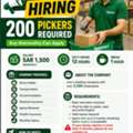 KEEMART URGENT HIRING 200 PICKERS REQUIRED