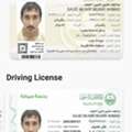 Light License Driver