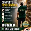 Pest Control Safe & Odorless Pest Control Solutions