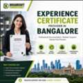 2. Best Experience Certificate Provider In Bangalore For IT Professionals