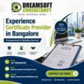 Experience Certificate Provider In Bangalore &ndash; Complete Guide For Job Seekers