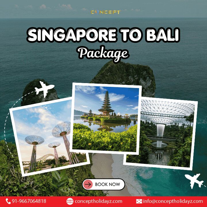 New Delhi, Travel, Singapore To Bali Package