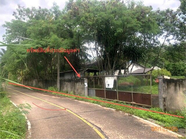 Bangkok, Real Estate For Sale, THB 11158000,  3 BR,  1200 Sq. Feet,  Single House For Sale In Muang Surat Thani And Other Buildings, A Total Of 7 Items, Thung