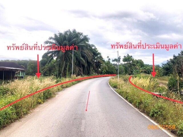 Bangkok, Real Estate For Sale, THB 12006000,  2 BR,  5392 Sq. Feet,  Single House For Sale Surat Thani Wiang Sa District   Road Along The Irrigation Canal