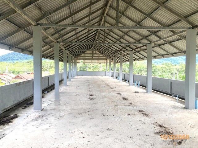 Bangkok, Real Estate For Sale, THB 4828000,  6 BR,  94 Sq. Feet,  3-story Residential Building For Sale, Surat Thani, Ban Nai - Don Sak Road, Promotional