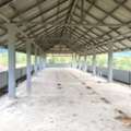 THB 4828000,  6 BR,  94 Sq. Feet,  3-story Residential Building For Sale, Surat Thani, Ban Nai - Don Sak Road, Promotional