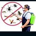 Riyadh, Pest Control, @ Professional Save Pest 🪳 Control Spray With Best Price Service And Bed Bugs 0563416917