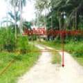 THB 4000000,  6 BR,  10960 Sq. Feet,  Single House For Sale Surat Thani, Chaiya District, Chaiya - Pak Mak Road.