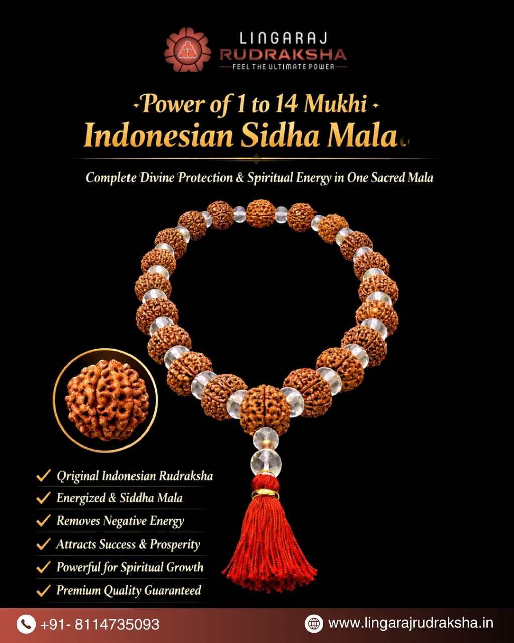 Kolkata, Jewelry, Trusted Rudraksha Shop In Kolkata