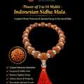 Trusted Rudraksha Shop In Kolkata