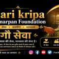 Cow Donation Online