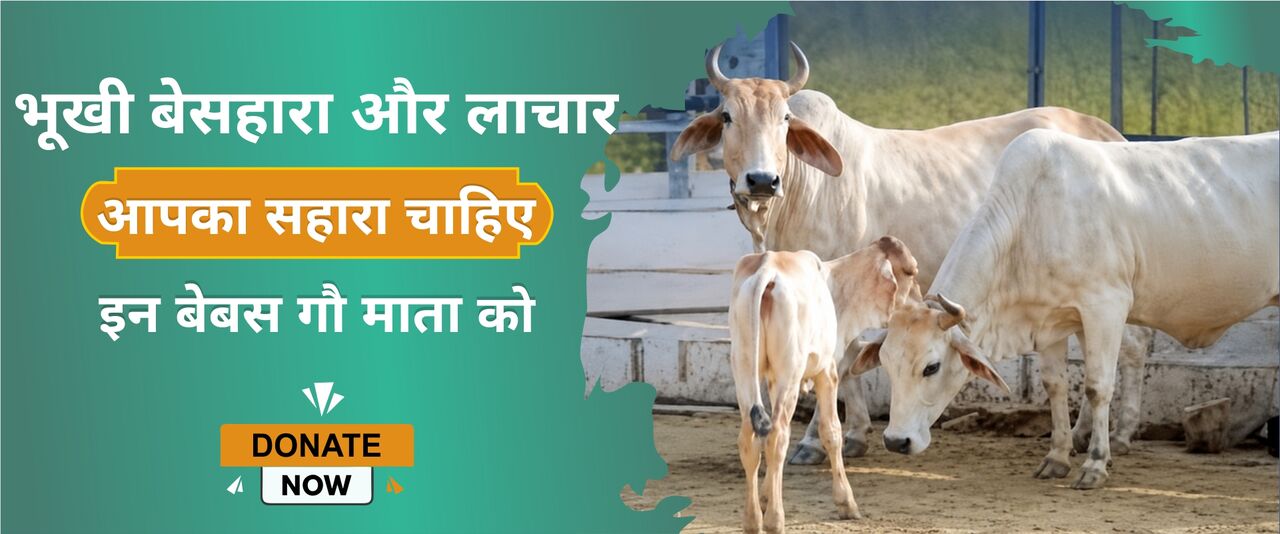 Mumbai, Business Partners, Cow Donation Online