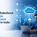 Custom Salesforce Integration Development Services In India
