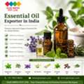 Essential Oil Exporter In India | Premium Natural & Organic Essential Oils | GLEE IMPEX