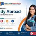 Trusted Study Visa Consultant In Ludhiana For Overseas Education Assistance