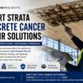 Leading Concrete Cancer Repair Contractors For Safer Buildings &mdash; Quin Projects Pty Ltd